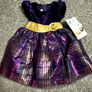 Brand new girls 2t holiday dress.